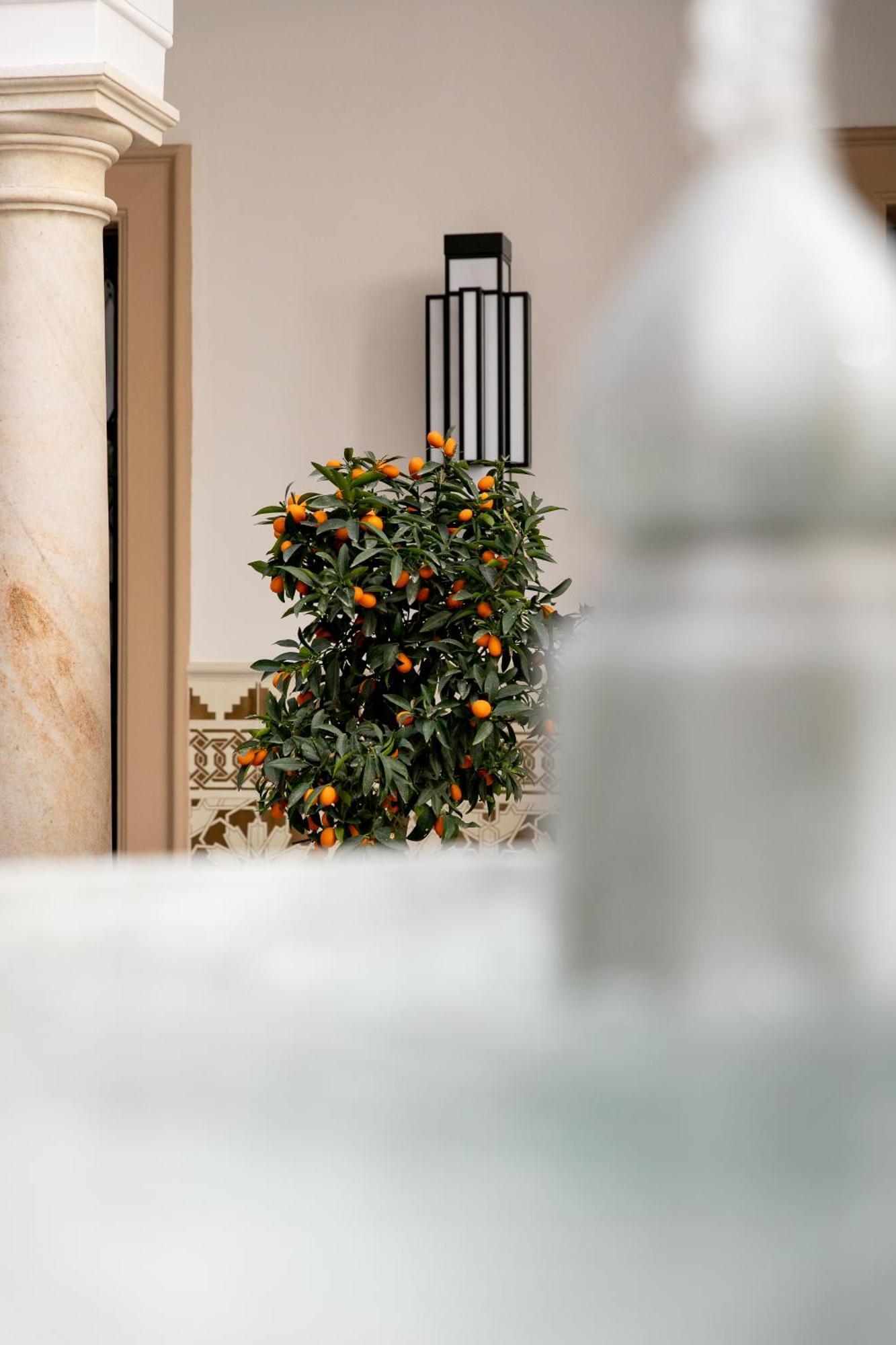 Hotel Casa Palacio Don Ramon